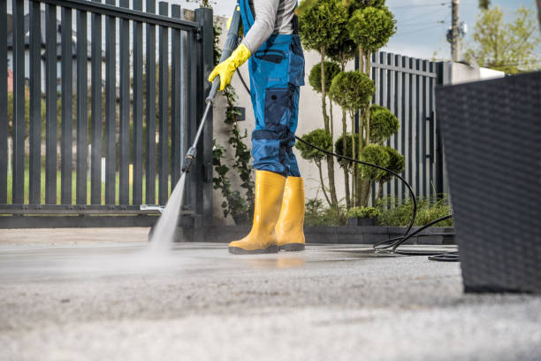 Best Roof Power Washing Services  in Ness City, KS